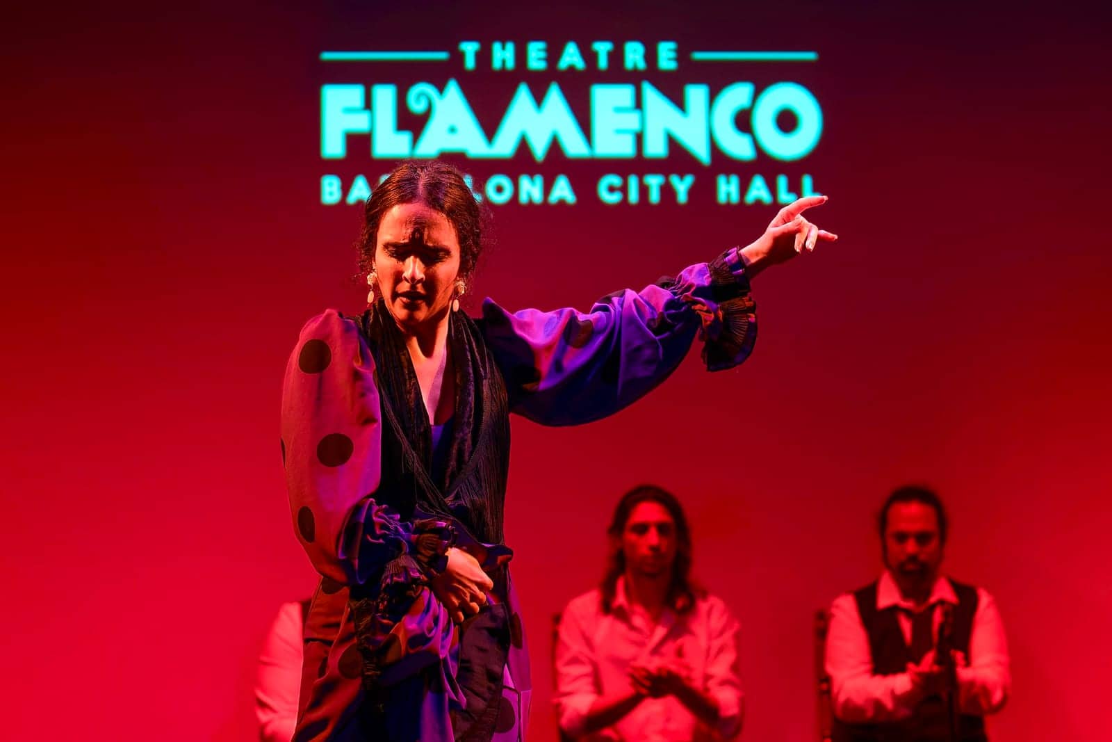 Barcelona Flamenco Show at City Hall Theatre - main experience photo