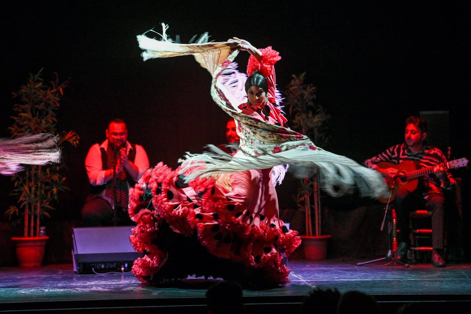 Barcelona Flamenco Show at City Hall Theatre - experience photo 4