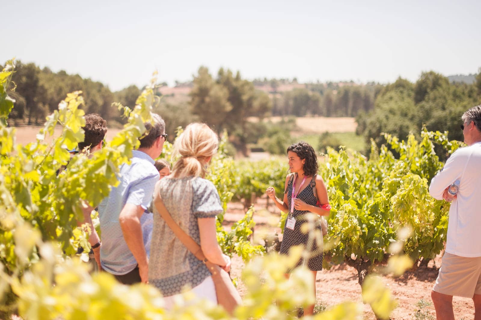 Montserrat, Tapas & Wine - main experience photo
