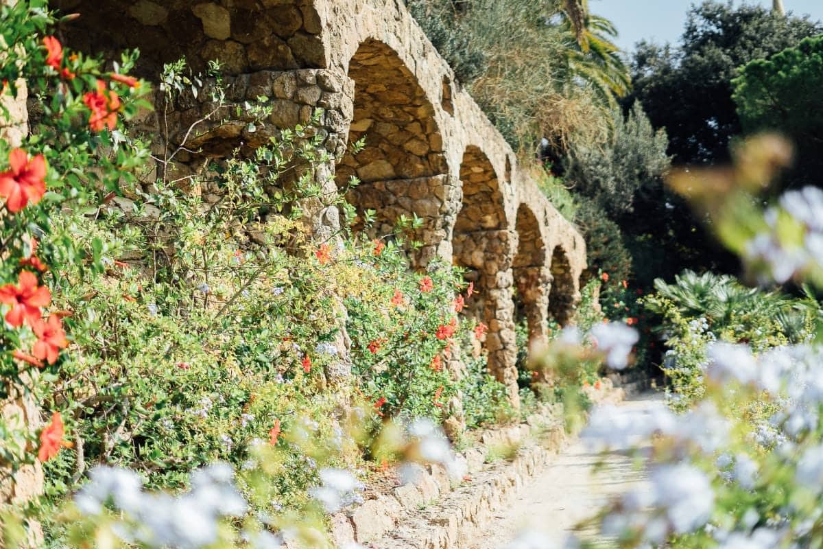 Sagrada Familia & Park Güell Guided Tour - experience photo 5